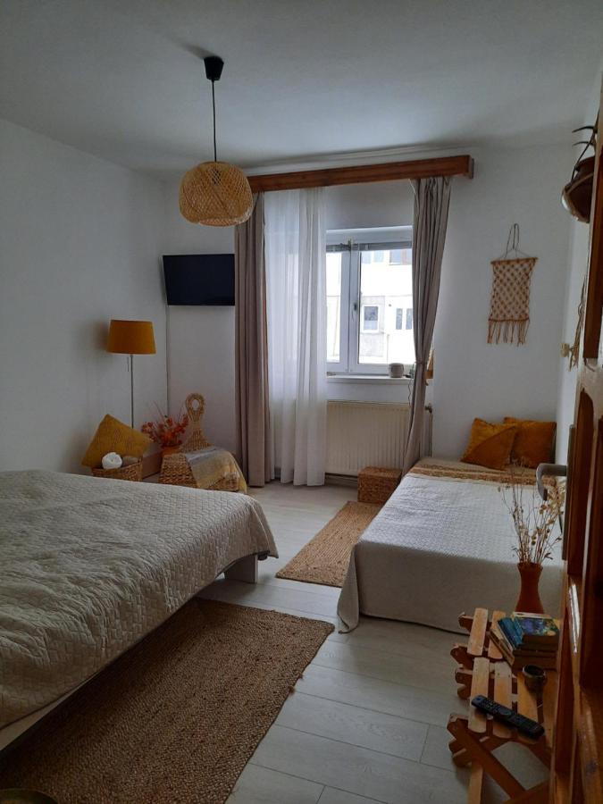 Cocooning In A Lovely Mountain Suite - Two Azuga Extérieur photo